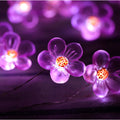 Flower String Lights?Fairy Pink Cherry Blossom String Lights 21Ft 40 Leds Waterproof USB Plug in Fun Room Lights for Spring, Nursery, Wedding,