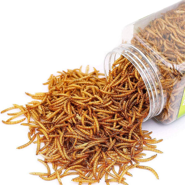 Reptile Food Dried Mealworms Pet Worms Food for Bearded Dragon, Lizard, Turtles, Chameleon, Monitor, Frog, Sugar Glider, Chickens, Birds, Hamsters