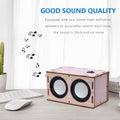 DIY Bluetooth Speaker Box Kit Electronic Sound Amplifier - Build Your Own Portable Wood Case Bluetooth Speaker Sound - Science Experiment and STEM