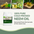 Neem Bliss (16 Fl Oz) - Pure Neem Oil Concentrate - 100% Cold Pressed Neem Oil - All-Natural Neem Oil Concentrate - Pure Neem Oil Extract -