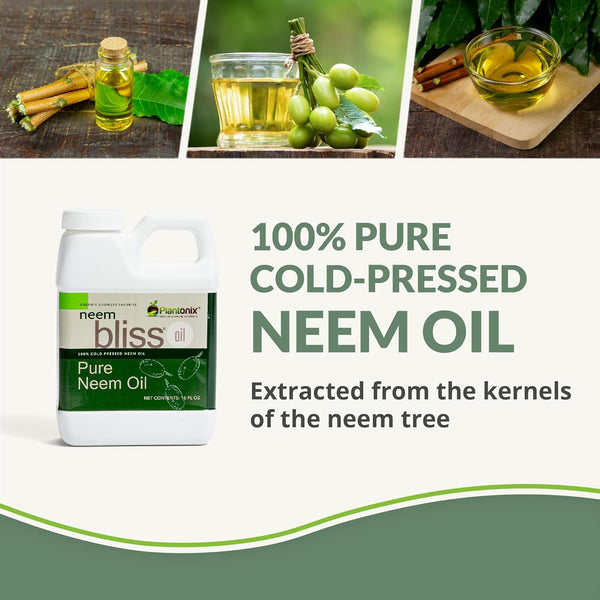 Neem Bliss (16 Fl Oz) - Pure Neem Oil Concentrate - 100% Cold Pressed Neem Oil - All-Natural Neem Oil Concentrate - Pure Neem Oil Extract -