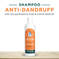 Jason Dandruff Relief Treatment Shampoo, 12 Oz