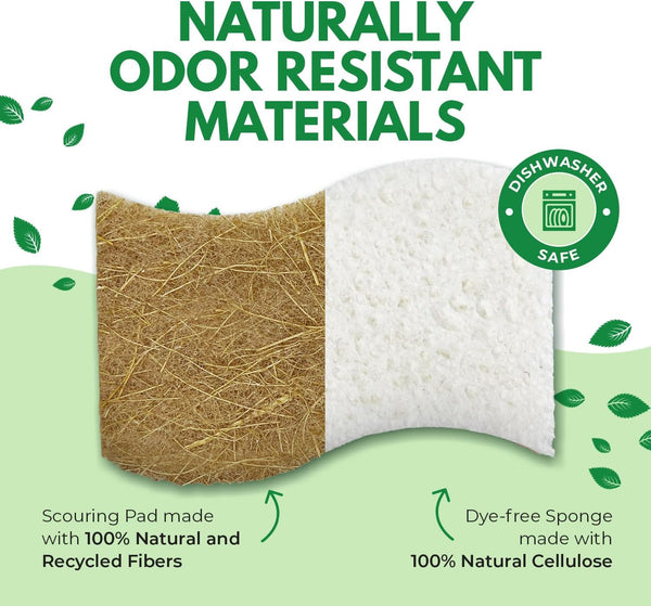 Natural Kitchen Sponges Pack of 6 - Cellulose and Coconut Husk Dishwashing Sponges - Odor Free Non Scratch Walnut Scrubber Sponges - Eco Friendly