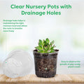 60 Packs 3.5 Inch Reinforced Clear Nursery Pots with Drainage Hole, Transparent Variety Pack Plastic Plant Pot Seedling Planter Seed Starter Flower