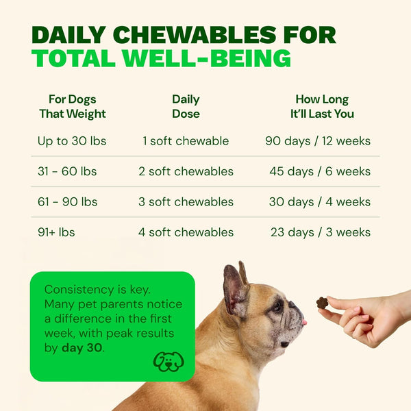 Get Joy Calm+ Stress Support Dog Supplement Chews, 90 Soft Chews, Chicken Flavor, Supports Sleep & Relaxation, with Chamomile & Valerian Root, Phd