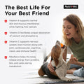Nutri-Vet Multi-Vite Chewables for Adult Dogs, Daily Multivitamin & Mineral Supplement for Overall Health, Immune Support, and Balanced Nutrition,