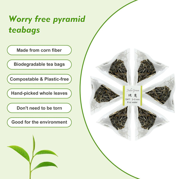 GTGLOTRA Premium Full-Leaf Loose Green Tea, 24 Pyramid Bags(4 Pack), 100% Natural No Additives, Easy Brew, Biodegradable Tea Whole Leaf Tea