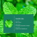 Aera Mini Home Hygiene Mint and Eucalyptus - Essential Oil for Home - Relaxing Fragrance - Notes of Orange Peel, Spearmint and Eucalyptus - Scent