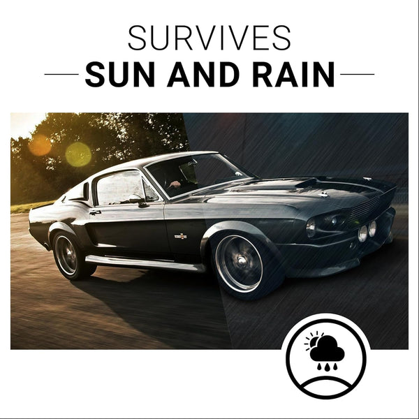 CAR GUYS Plastic Restorer | Bring Plastic, Rubber, and Vinyl Back to Life! | User Friendly Trim Restorer | Safe Auto Detailing Supplies | 8 Oz Kit