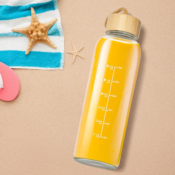 Glass Bottles with Lids and Time Marker, Glass Water Bottles with Carrying Strap, 17Oz Glass Bottles for Juicing for Office, Gym