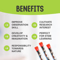 Live Ant Farm Ants (1 Tube of Ants) plus Ant Book- Bundle