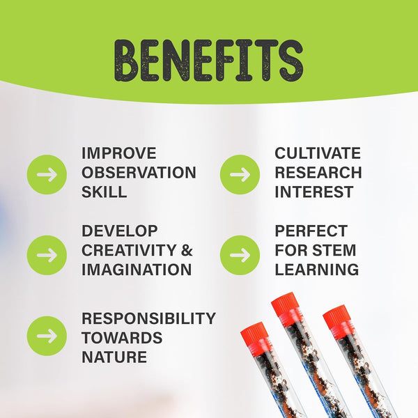 Live Ant Farm Ants (1 Tube of Ants) plus Ant Book- Bundle