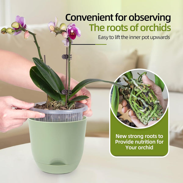 QCQHDU 2 Pack Orchid Pots with Holes for Repotting, Self Watering and Double-Layer Orchid Pot with Good Air Circulation