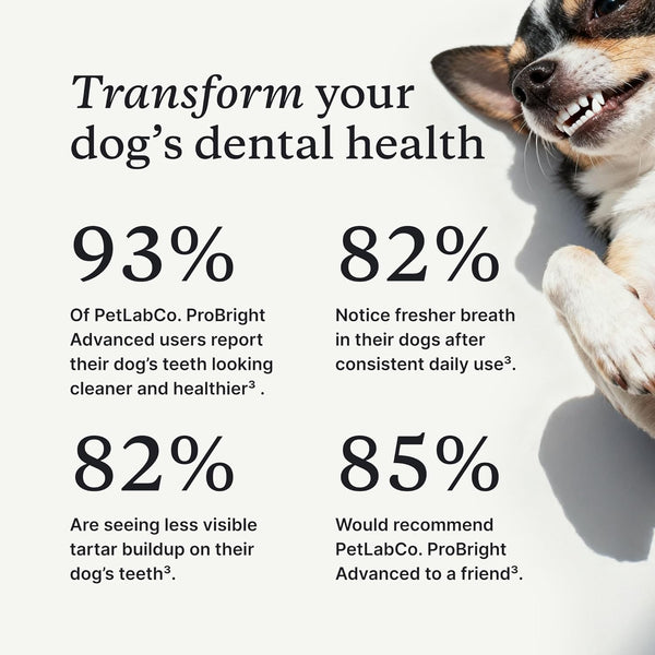 Petlab Co. Probright Advanced Dental Powder - Dog Breath Freshener - Teeth Cleaning Made Easy â Targets Tartar & Bad Breath - Formulated for Small