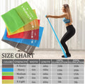 5 Pcs Professional Resistance Bands. Latex-Free, Elastic Band, Work Out Bands, Stretch Bands for Working Out Women or Men, Exercise Bands Set for