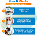 5Strands Pet Food Intolerance Test, at Home Sensitivity Test for Dogs & Cats, 270 Items, Hair Analysis, Accurate for All Ages & Breeds, Pet Gut