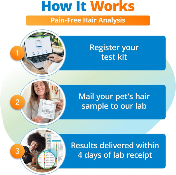 5Strands Pet Food Intolerance Test, at Home Sensitivity Test for Dogs & Cats, 270 Items, Hair Analysis, Accurate for All Ages & Breeds, Pet Gut