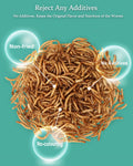 Reptile Food Dried Mealworms Pet Worms Food for Bearded Dragon, Lizard, Turtles, Chameleon, Monitor, Frog, Sugar Glider, Chickens, Birds, Hamsters