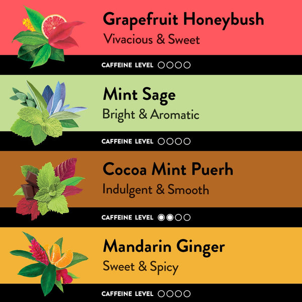 Choice Organic Teas Sipping Box Tea Sampler, Variety Gift Box, 32 Total Tea Bags, 8 Flavors, Caffeinated and Caffeine-Free Teas, Sustainably