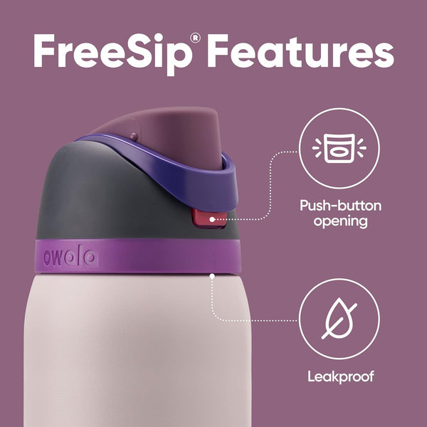 Owala Freesip Insulated Stainless Steel Water Bottle with Straw for Sports, Travel, and School Bpa-Free Sports Water Bottle, 32 Oz, Dreamy Field