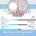 Hansang Vanity Light Bulb 5000K Daylight 8 Pack G25 LED Globe Light Bulb for Bathroom Vanity Mirror Decorative,E26 Medium Base, 5W 60W