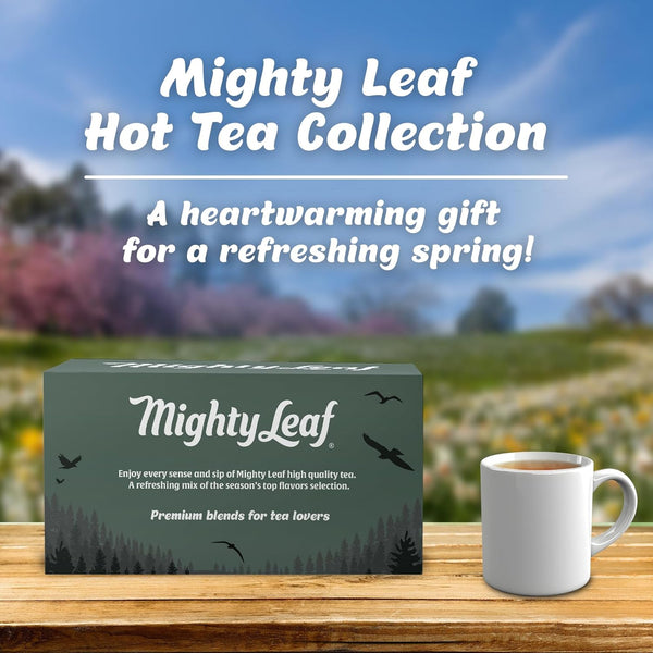 Mighty Leaf Tea Bags Spring Sampler Assortment (40 Silk Bags) Organic (8 Flavors), Tropical, Chamomile Citrus, Earl Grey, Vanilla Bean, White