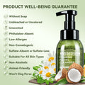 Hydrating Foam Cleanser | Makeup Remover & Gentle Face Wash for Normal to Dry, Sensitive Skin | No Fragrance, Non-Comedogenic, No Oil, No Soap
