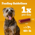 Pedigree Dentastix Large Dog Treats, Bacon Flavor, 1.67 Lb. Bag (32 Treats)