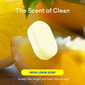 BLUELAND Multi-Surface Cleaner, Starter Set, Fresh Lemon Scent, Spray Bottle with 4 Refill Tablets, All-Purpose, Eco-Friendly Cleaning Supplies, 4