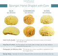 Neptune Caribbean Sea Sponge, Extra Extra Large, Approx. 8-9 Inches