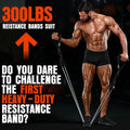 Heavy Resistance Bands for Working Out, 300LBS Exercise Bands with Handles, Workout Bands for Men, Weight Fitness Bands Set for Muscle Training,