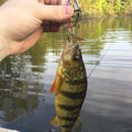 Fishing Lures for Bass Trout Topwater Multi Jointed Swimbaits Slow Sinking Bionic Swimming Lures Bass Freshwater Saltwater Bass Lifelike Fishing
