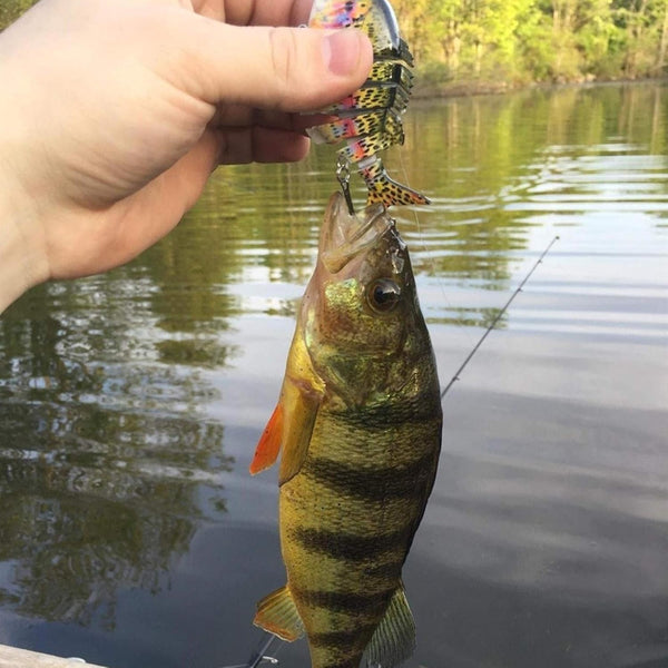 Fishing Lures for Bass Trout Topwater Multi Jointed Swimbaits Slow Sinking Bionic Swimming Lures Bass Freshwater Saltwater Bass Lifelike Fishing