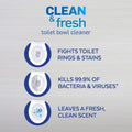 Lysol Toilet Bowl Cleaner Gel, for Cleaning and Disinfecting, Stain Removal, Forest Rain Scent, 24Oz