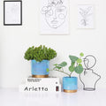 Gepege Ceramic Pots for Plants, Rainbow Pearl Glaze Planter with Drainage Hole, 6.0 Inch+5.0 Inch+4.0 Inch. Indoor-Outdoor Large round Succulent