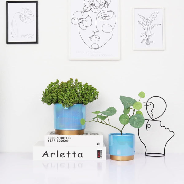 Gepege Ceramic Pots for Plants, Rainbow Pearl Glaze Planter with Drainage Hole, 6.0 Inch+5.0 Inch+4.0 Inch. Indoor-Outdoor Large round Succulent