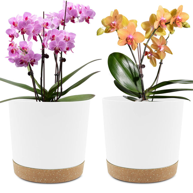 QCQHDU 8 Inch Plant Pot, 2 Pack Planters for Indoor Plants with Drainage Holes & Saucer, Outdoor Flower Pots Home Garden