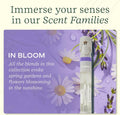 Lifelines Pen Diffuser, in Bloom - 1Mm Black Ballpoint Pen with Scented Essential Oil Blends â Aromatherapy Diffuser & Sensory Immersion Diffuse
