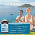 Vitamin B Complex Stress Relief | All Natural Mood Enhancer and Stress Support Supplement | Stress B Complex with Herbal Extract Blend plus