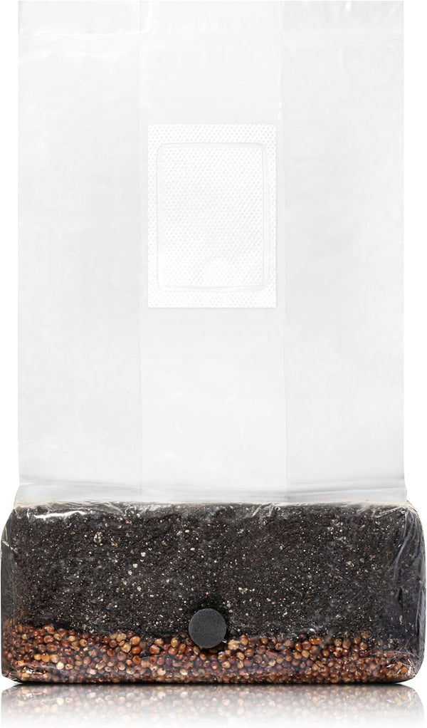 4 LB All-In-One Grow Kit: up to 64Oz of Mushrooms! Nutrient-Enhanced, Injection Port, Just Add Your Own Spores & Grow like Magic (4 LB Bag)
