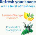 Clorox Disinfecting Mist, Lemon and Orange Blossom, 1 Spray and 1 Refill, 16 oz Each 16 Fl Oz (Pack of 2) Lemon Orange Blossom Starter Kit