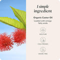 Sky Organics Castor Oil - USDA Certified Organic Hair Oil for Hair Growth, Skin, Face, Eyelashes - Cold Pressed & Hexane Free - Pure Organic