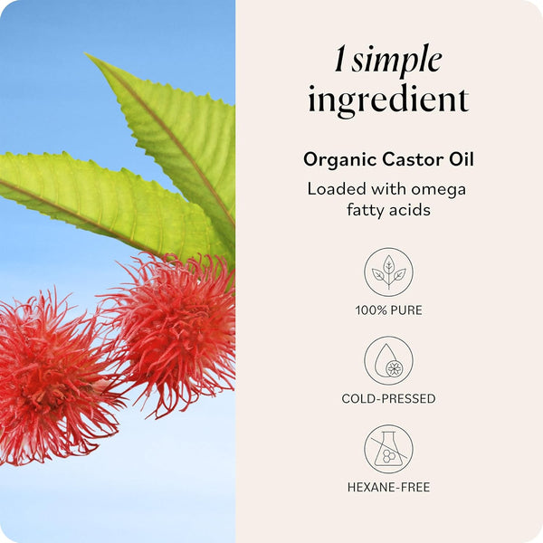 Sky Organics Castor Oil - USDA Certified Organic Hair Oil for Hair Growth, Skin, Face, Eyelashes - Cold Pressed & Hexane Free - Pure Organic