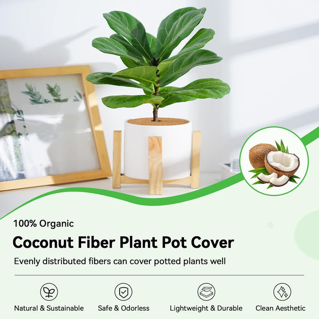 Zeedix 10 Pcs Coconut Fibers Mulch Ring Tree Protector Mat, 5.9 Inch Coco Coir Tree Protection, Tree Ring Mats Tree Disc