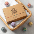Lifearound2Angels Bath Bombs Gift Set 12 USA Made Fizzies, Shea & Coco Butter Dry Skin Moisturize, Perfect for Bubble Spa Bath. Handmade Birthday