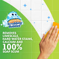 Scrubbing Bubbles Mega Bathroom and Shower Foamer Aerosol, Rainshower Scent, 20Oz (Pack of 2)