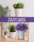 Essential Oil Diffusers, 150Ml Aromatherapy Diffuser, Lavender Plant Potted Cold Mist Humidifier, Ultrasonic Diffuser for Home Office, Super Quiet
