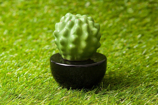 Frank Cactus, Non-Electric Ceramic Diffusers for Essential Oils and Aromatherapy Fragrance, White Ceramic Diffusers in Car or Desk Office Decor