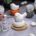 Little Bird Nest, Non-Electric Ceramic Diffusers for Essential Oils and Aromatherapy Fragrance, White Ceramic Diffusers in Car or Bathroom and