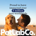 Petlab Co. Probright Advanced Dental Powder - Dog Breath Freshener - Teeth Cleaning Made Easy â Targets Tartar & Bad Breath - Formulated for Small